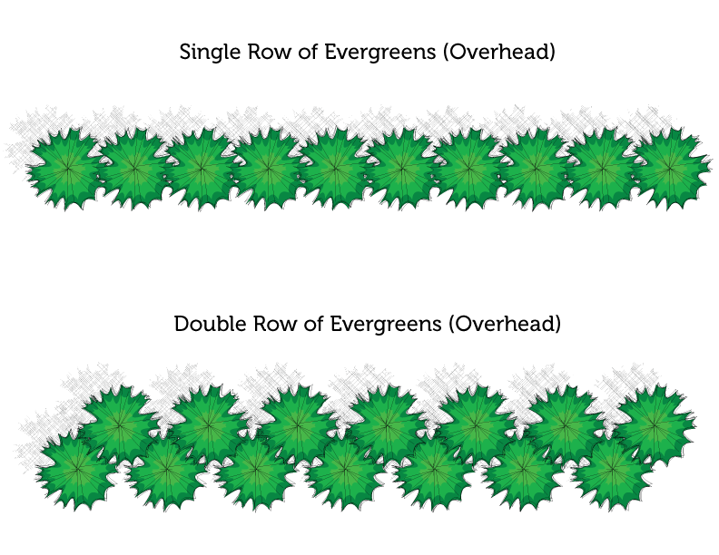 Privacy Screen Spacing