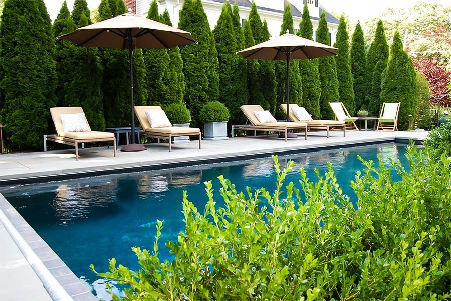 Featured image of post Simple Way to Emerald Green Arborvitae Privacy Trees