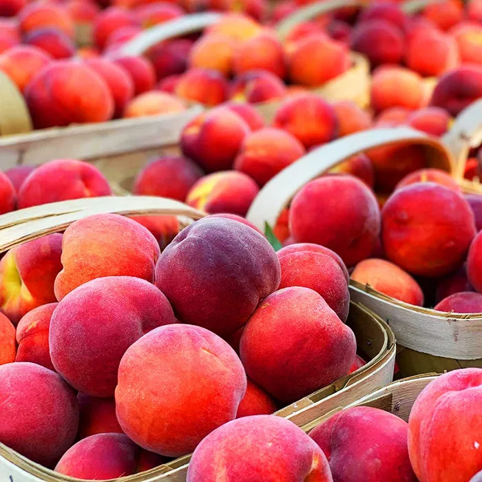 Ruby Peah Ruby Prince Peach Tree For Sale Online | The Tree Center