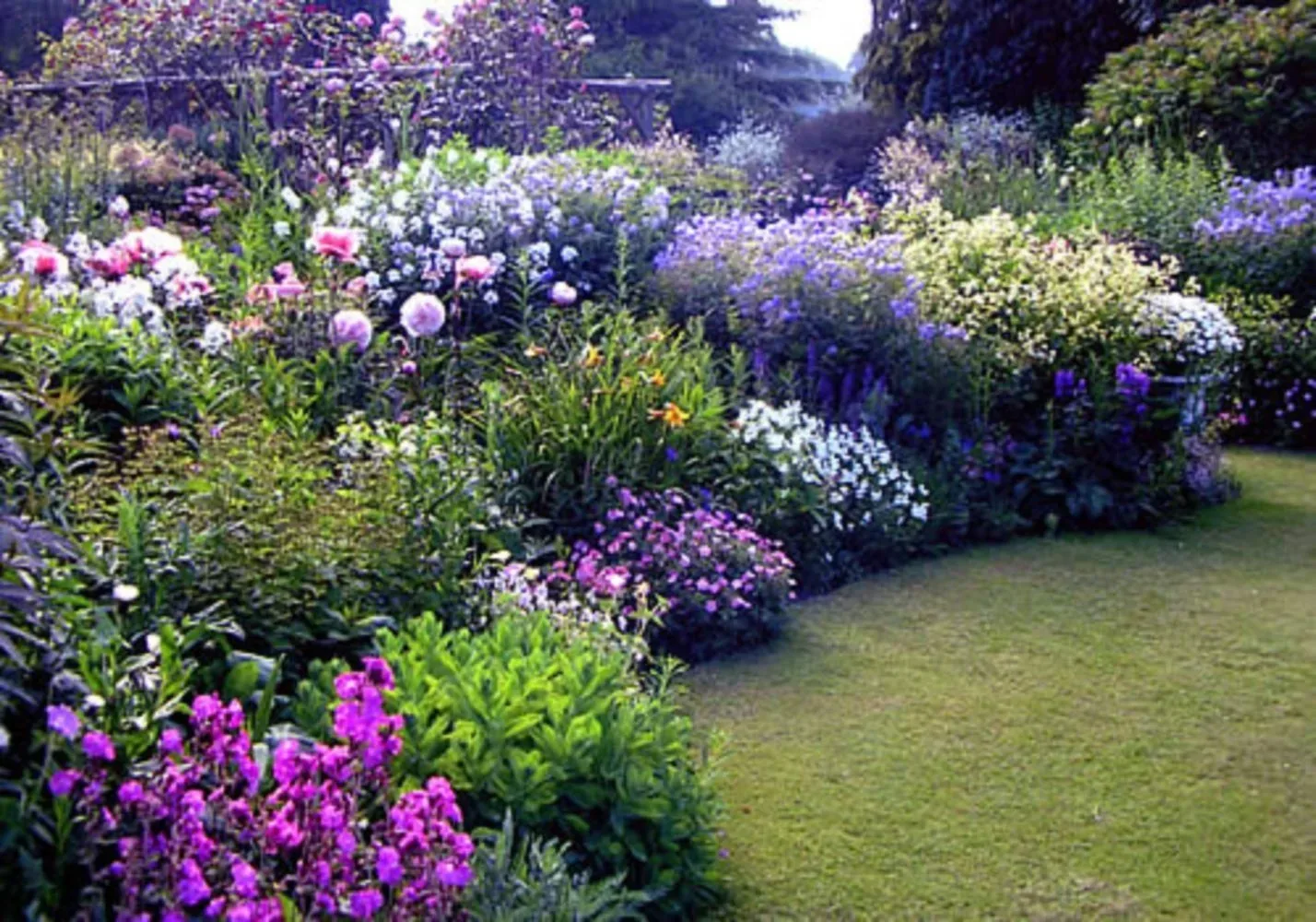 The English Flower Garden | The Tree Center™