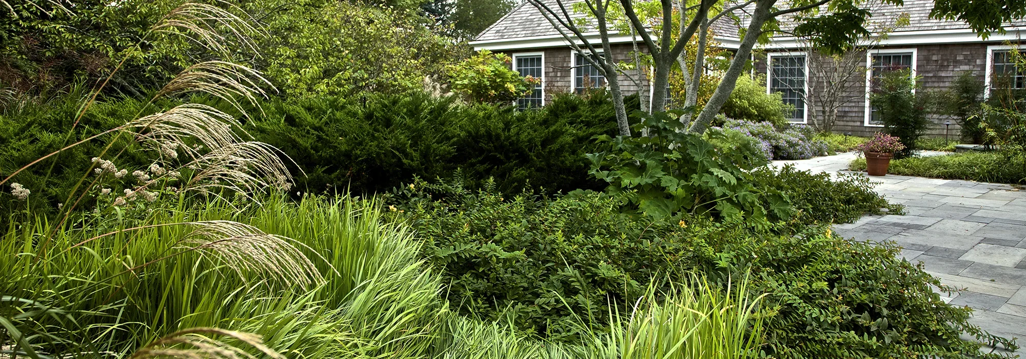 The New American Garden: A Home-Grown Garden Style | The Tree Centerâ„¢
