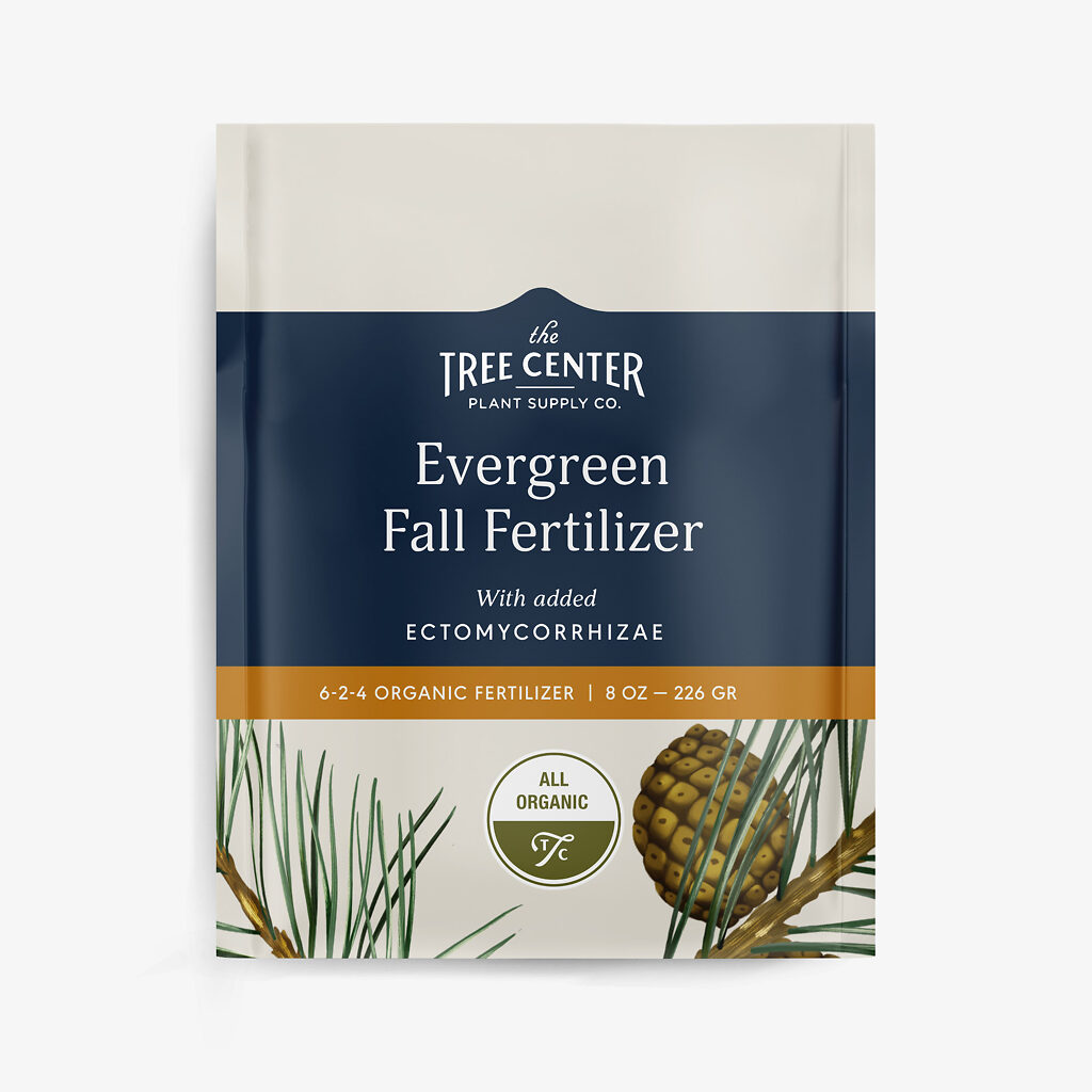 Nourishing Fall Evergreen Fertilizer The Tree Center
