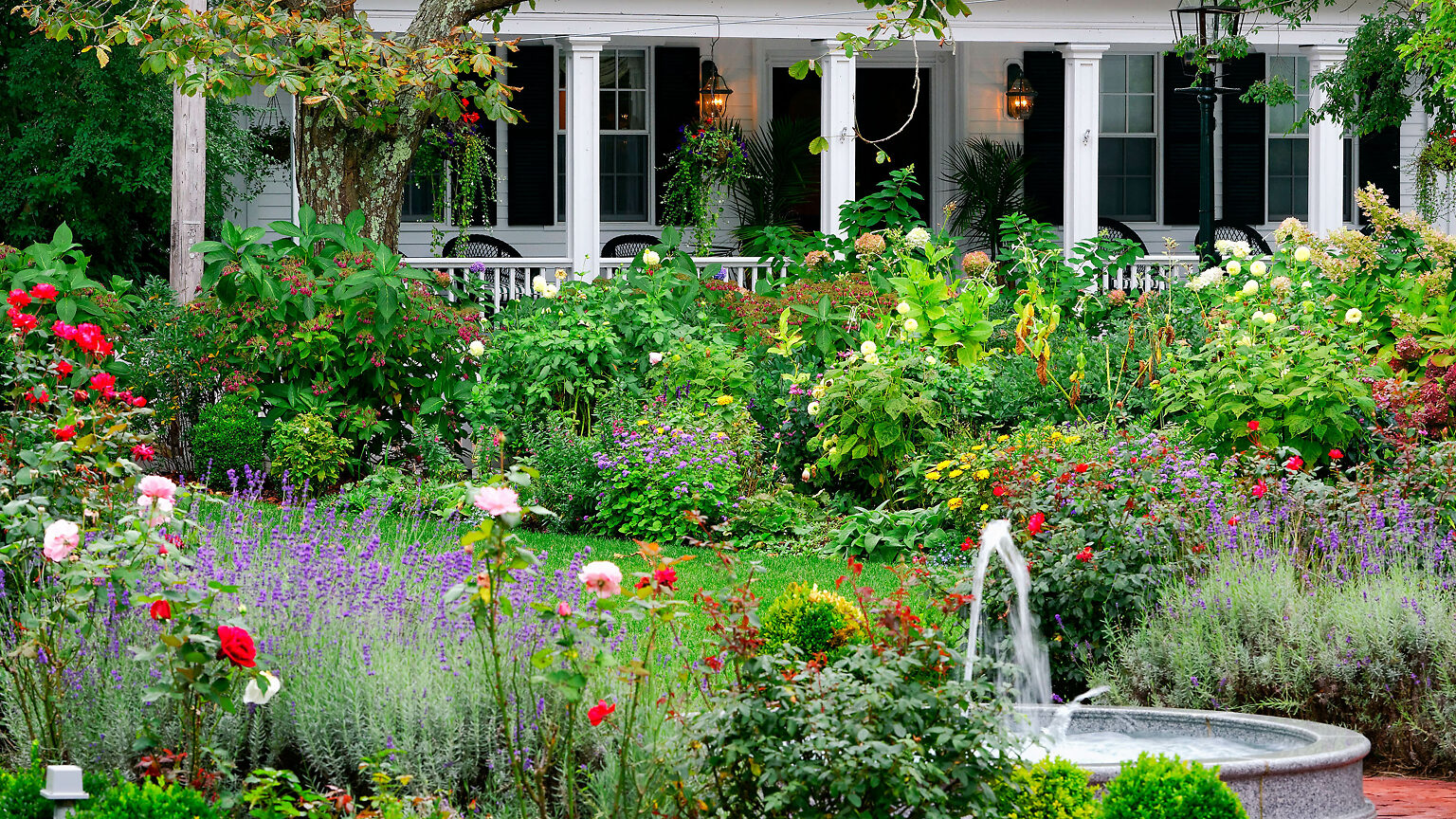 10 Fragrant Flowers and Plants to Fill Your Garden with Perfume The