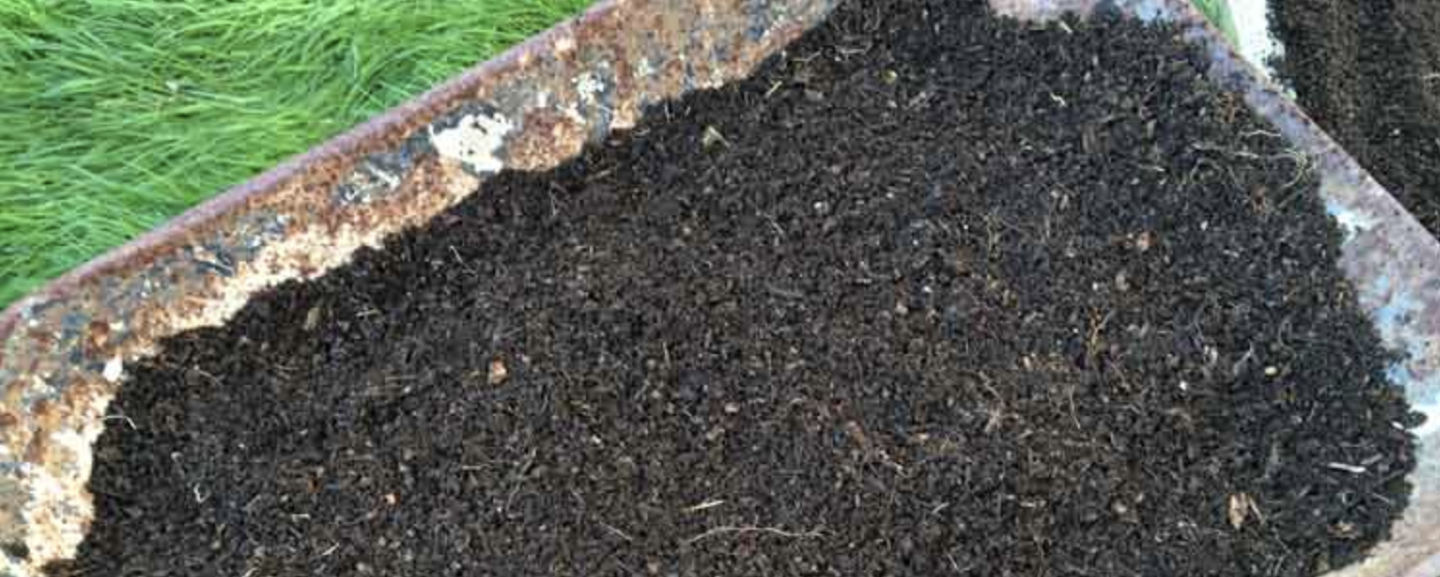 What Is Peat Moss? Peat Moss Uses. The Tree Center