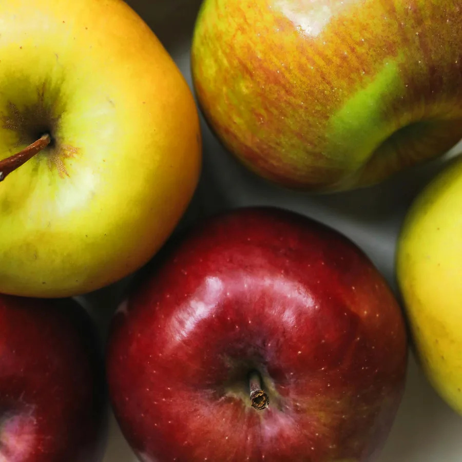 3-in-1 Apple Cocktail Tree For Sale Online | The Tree Center