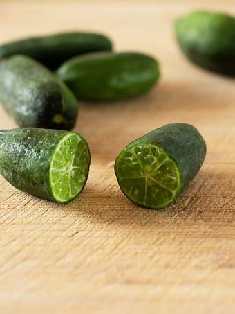 Australian Finger Lime Tree