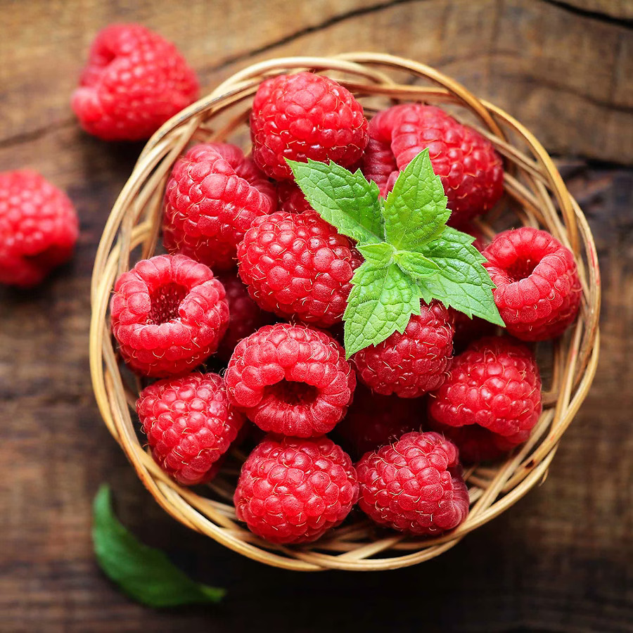 Nova Red Raspberry For Sale | The Tree Center