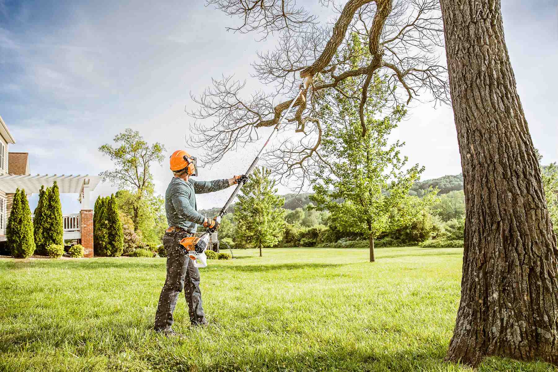 Stump Grinding Jonesborough Tn