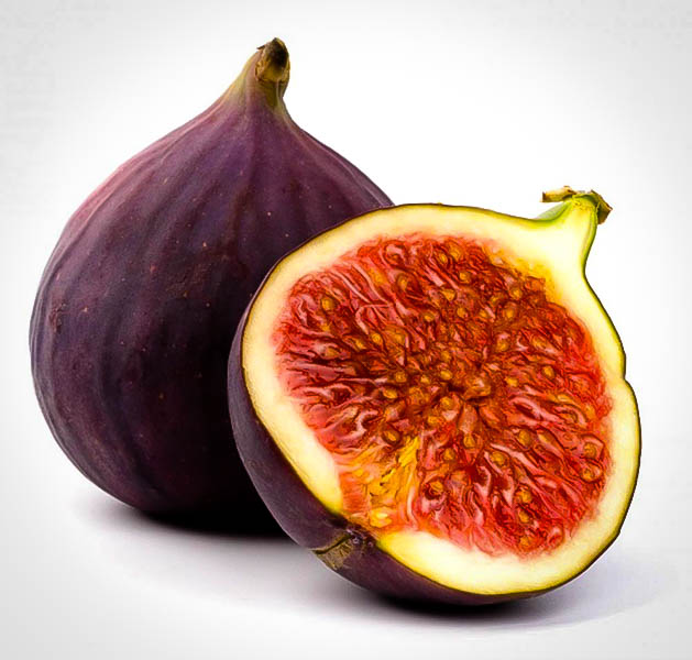 straf En god ven Udfyld Brown Turkey Fig For Sale Online | The Tree Center