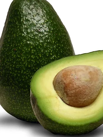 https://www.thetreecenter.com/c/uploads/cold-hardy-avocado-1-340x453.webp