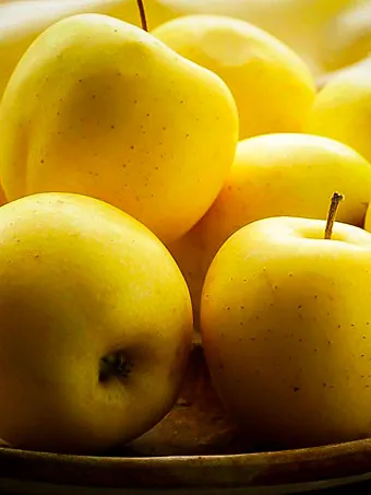 Ein Shemer Apple Tree