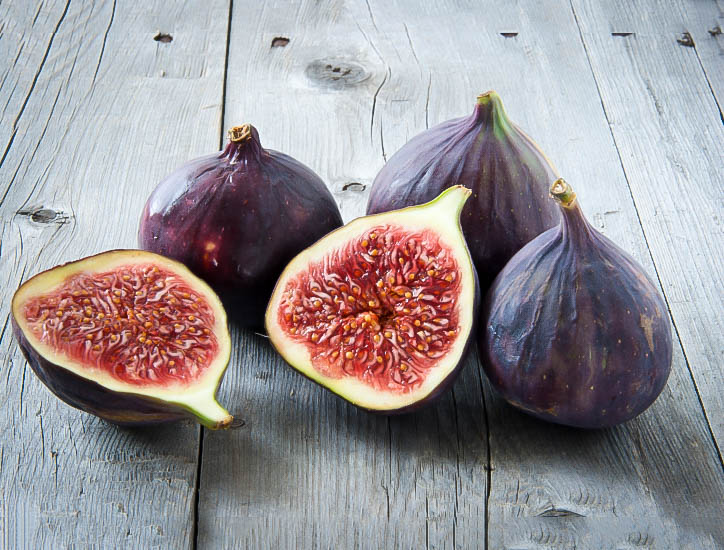 Fig Trees