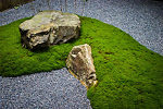 Plants for a Japanese Garden | The Tree Center™