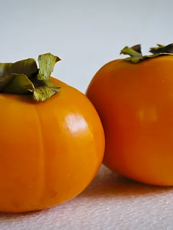 Fuyu Japanese Persimmon Tree