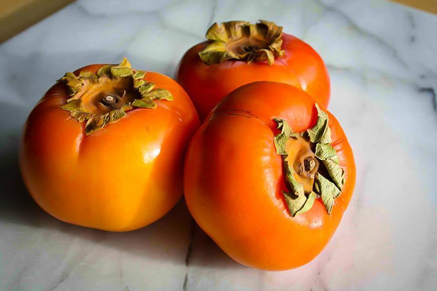 Persimmon Tree Fruit