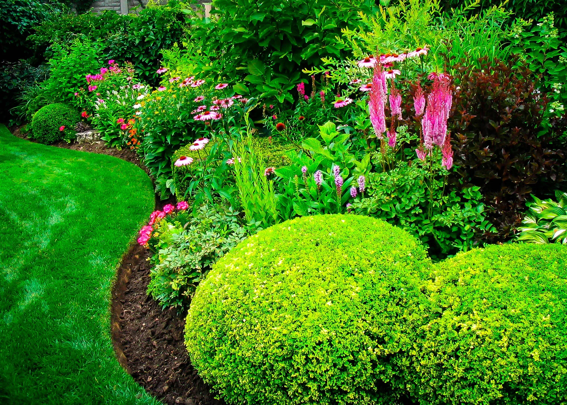 Choosing Shrubs for All-year Interest | The Tree Center™