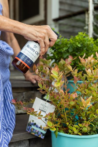 DON'T FORGET YOUR PLANT CARE