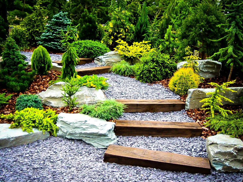 Plants for a Japanese Garden | The Tree Center™