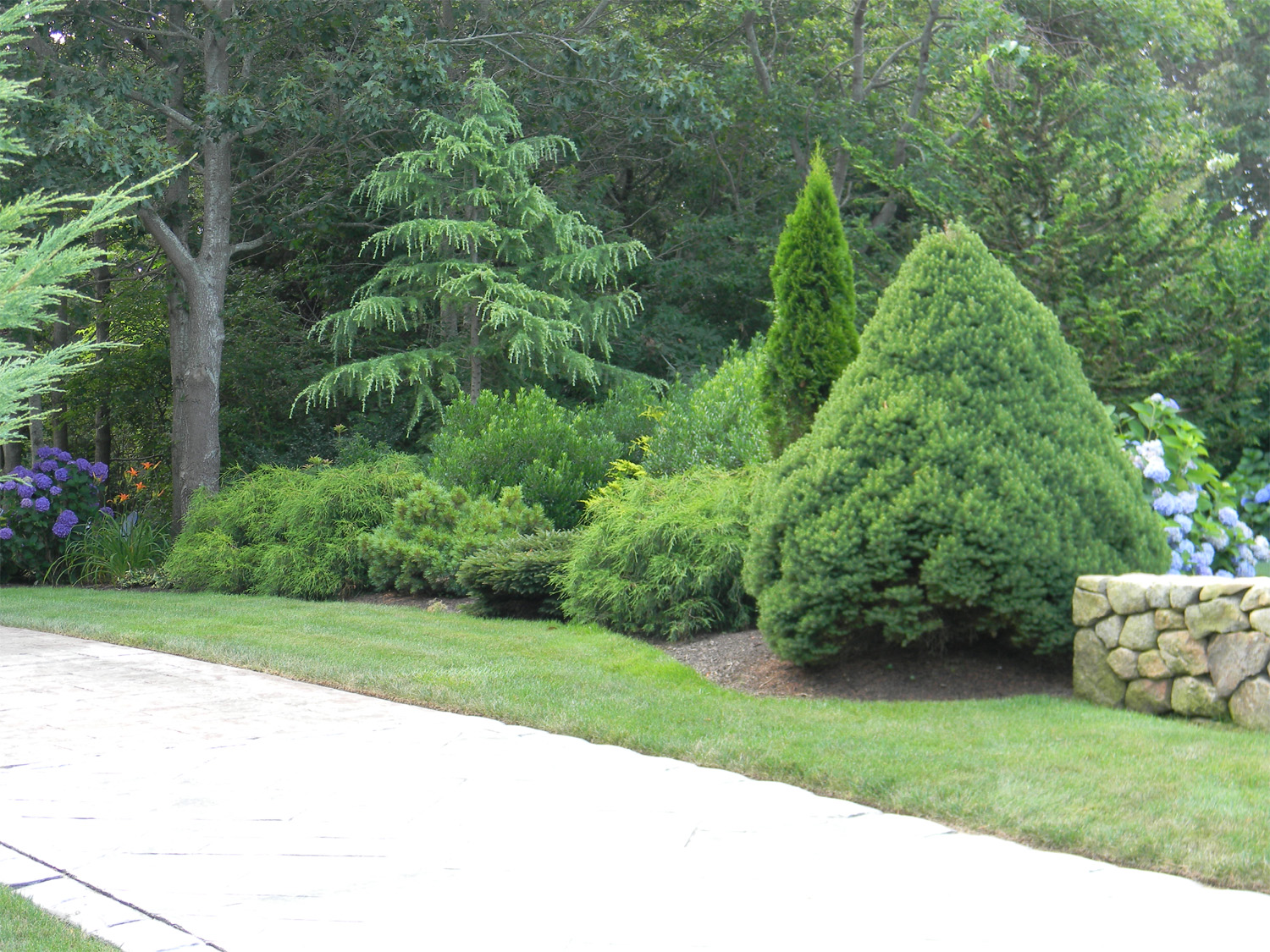 The Paradise Garden | The Tree Center™