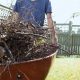 7 Top Tips for Spring Clean Up in the Garden