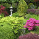 Tips on Placing Shrubs in Your Garden
