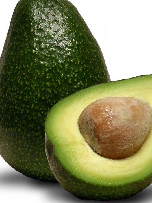 Avocado Trees