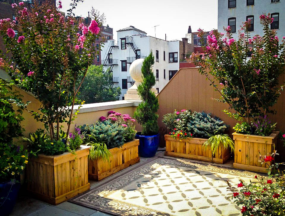 Best Shrubs For Planter Boxes at santosjfarris blog