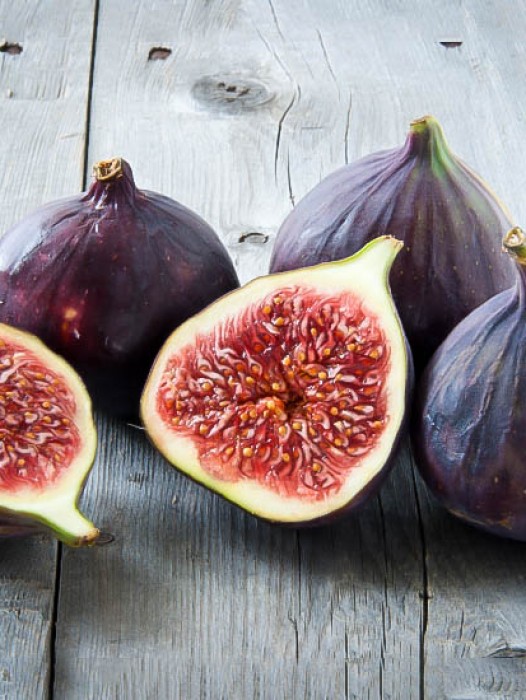 Fig Trees