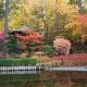 Classic Trees for a Japanese Garden