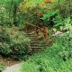 Native Shrubs from Across America