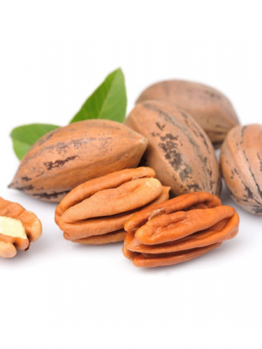 Nut Trees