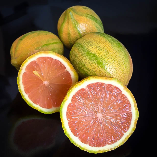 Variegated Pink Lemon Tree For Online The Center