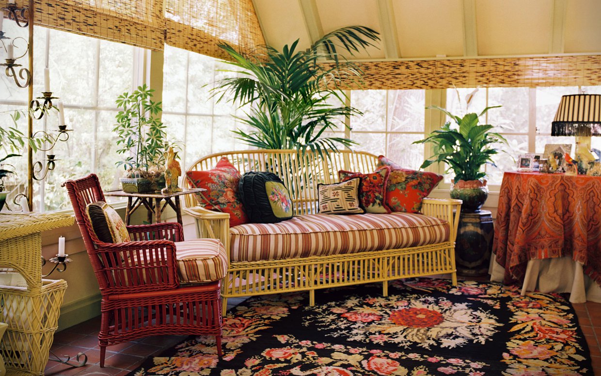 Basic Care Of Houseplants The Tree Center Basic Care Of Houseplants
