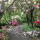 Flowering Evergreens for Year-Round Interest