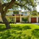 How to Choose a Shade Tree