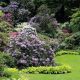 Design Your Garden – Part 2