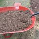 5 Steps to Better Soil for Fall Planting