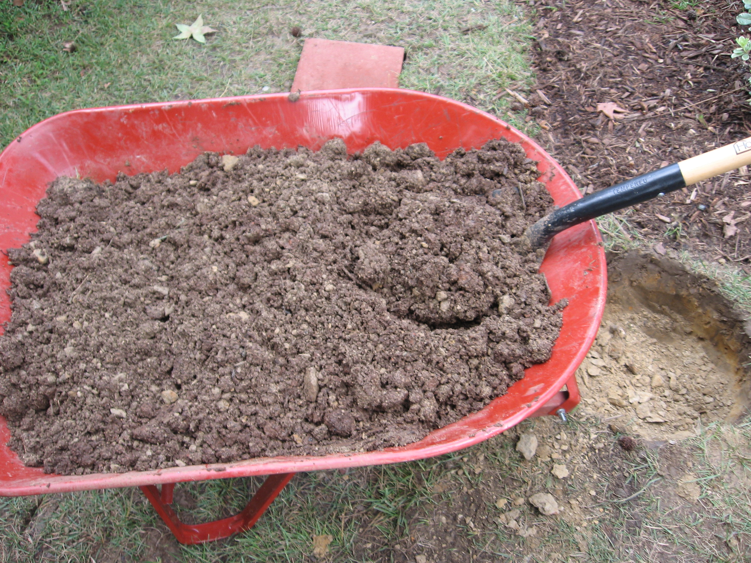 5 Steps to Better Soil for Fall Planting The Tree Center™