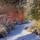 Winter Landscaping Tips